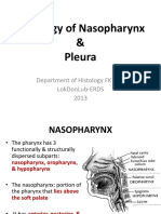K.14 Histology of Nasopharynx & Pleura