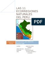 LAS 11 ECORREGIONES NATURALES DEL PERU.docx