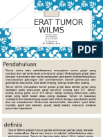 Tumor Wilms
