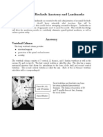H5Neuraxial.pdf