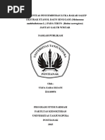 Download 2015 EFEKTIVITAS PENYEMBUHAN LUKA BAKAR SALEP EKSTRAK ETANOL DAUN SENGGANI PADA TIKUS JANTANpdf by SusiNurmanila SN346670211 doc pdf