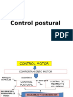 Control Postural 2016 II