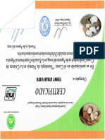 Img020 PDF