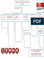 Mapa Conceptual Primeros Auxilios