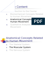 The Muscular System - Organ Level