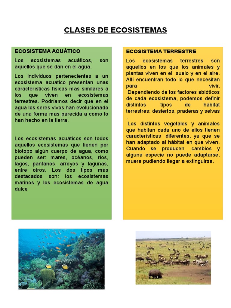 Clases de Ecosistemas | PDF | Ecosistema | Selva