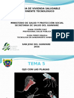 Presentacion Taller Ojo Con Las Plagas