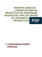 2013.01.11_Lineamientos de Pips Productivos
