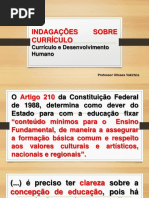REVISAO INDAGAÇÕES