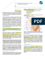 Clase 02 - Cirugía - Abdomen Agudo y Apendicitis Aguda