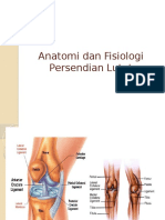 Anatomi Dan Fisiologi Sendi Lutut