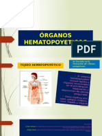 Órganos Hematopoyeticos