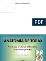 El Torax