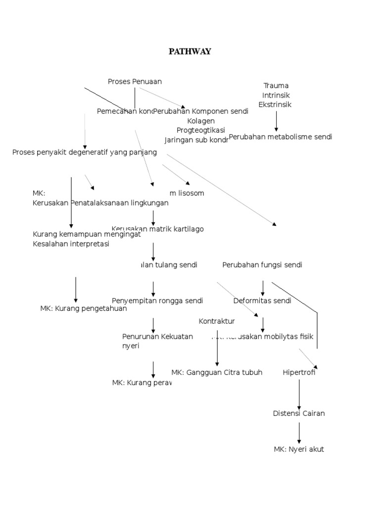 Pathway | PDF