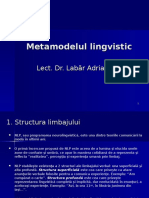 Metamodelul-lingvistic-1