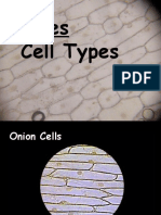 LabSlidesCellTypes.ppsx