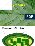 Photosynthesis