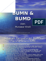 bumn-bumd