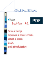 Fisiologia Renal