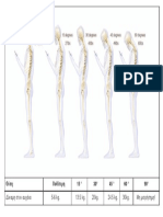 Spine Study