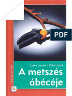 A-metszes-ABC-je.pdf