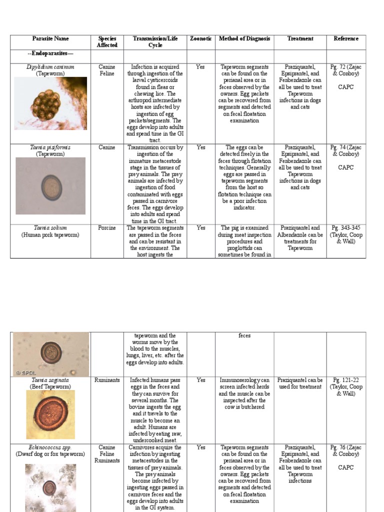 Parasite Profile Chart | PDF | Veterinary Medicine | Wellness
