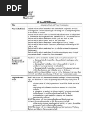 stem lesson plan