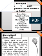 SSP Medula Spinalis (Gerak Reflek Dan Sadar)