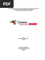 Download Ajeng Putri Nur Indahsari22165034 by Memey Hermanes SN346792532 doc pdf