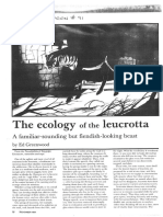 Dragon #91 - Ecology of The Leucrotta