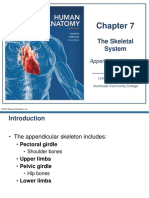 _ch_07_Skeletal system - Appendicular division.pdf