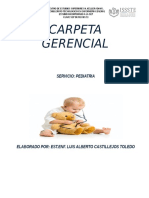 Carpeta Gerencial 2