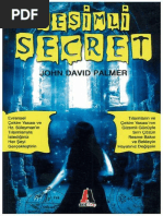 John David Palmer, Resimli Secret