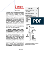 cap21 Montereano.pdf