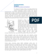 289070495 Prinsip Penatalaksanaan Infeksi