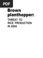 Download Brown Plant Hopper - Threat to Rice Production in Asia by Siti Salwani binti Ab Rahim SN34682540 doc pdf