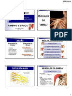 Músculos Do Membro Superior Ombro e Braço1 PDF