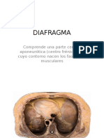 Diafragma 2017