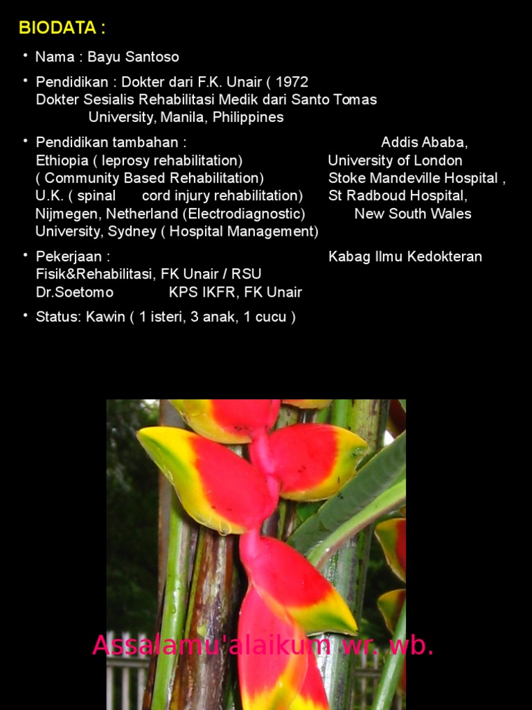Stroke Rehabilitation Strategies Guide | PDF | Aphasia | Lateralization ...