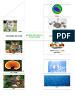 Estructura de Los Ecosistemas