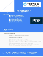 Diapositivas proyecto integrador