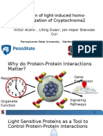 Modulation of Light-Induced Homo-Oligomerization of Cryptochrome2