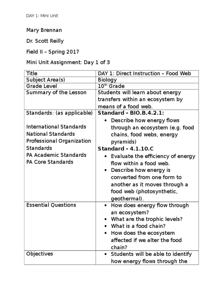 Mini Food Web Lesson Plan | PDF | Food Web | Cognition
