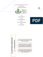 Auditoria Ambiental Organizador Grafico PDF