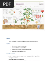 Biologia-Plantas