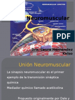 Unión Neuromuscular.pptx