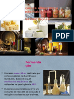 2- fermentaçao_16-17.pptx