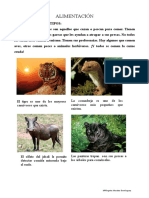 Actividades de Los Animales PDF