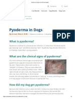 Pyoderma in Dogs - VCA Animal Hospital