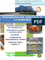 Informe 3.osmodeshidratacion de La Manzana